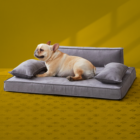 Orthopedic Luxury Dog Sofa Bed