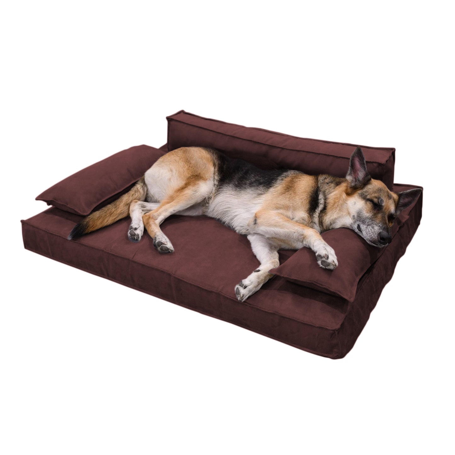 Orthopedic Luxury Dog Sofa Bed