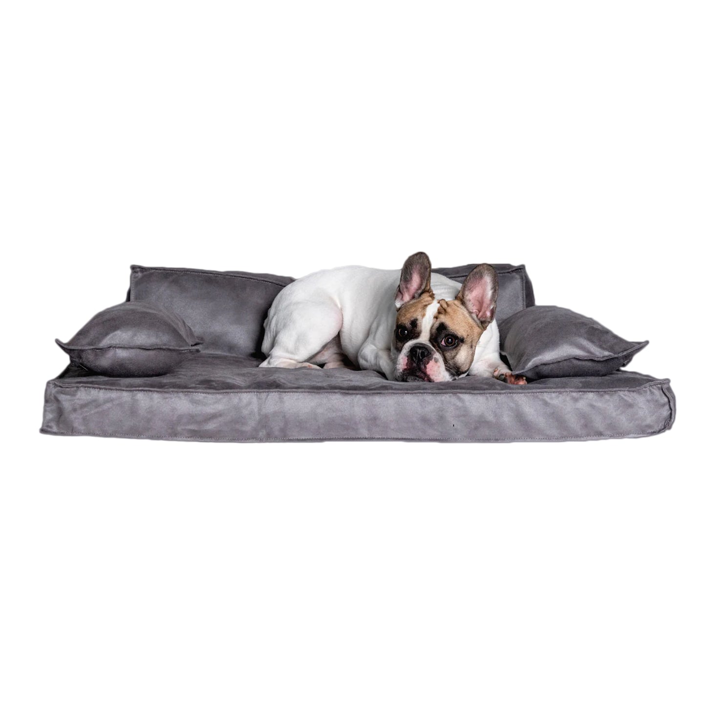 Orthopedic Luxury Dog Sofa Bed