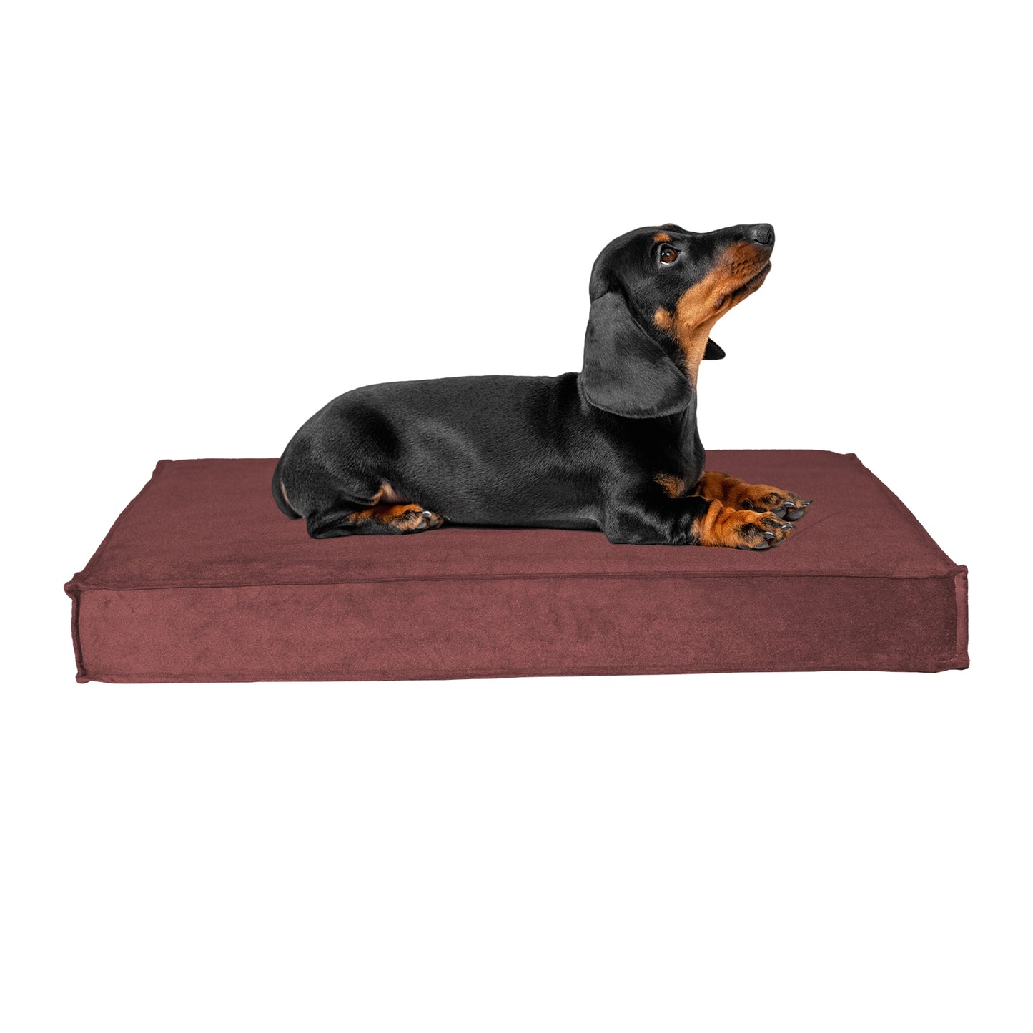 Orthopaedic Pet Bed