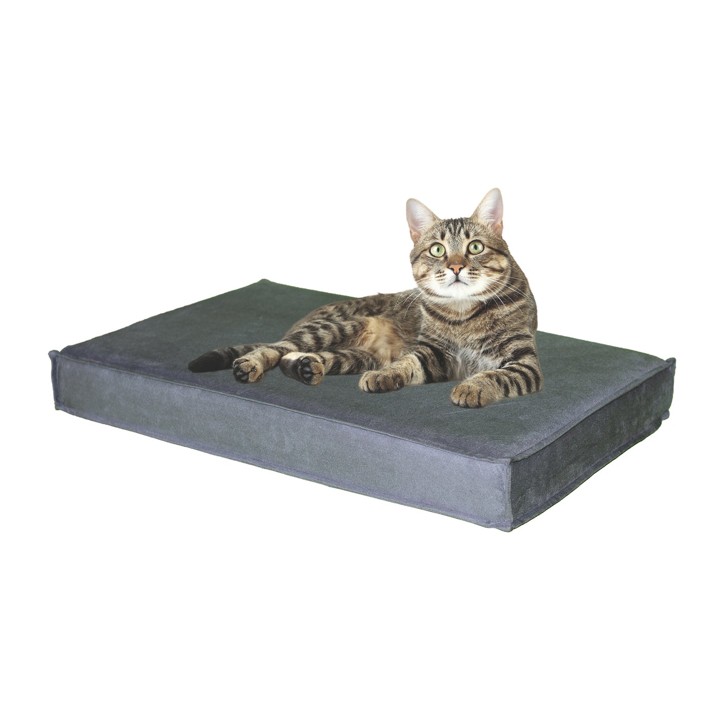 Orthopaedic Pet Bed