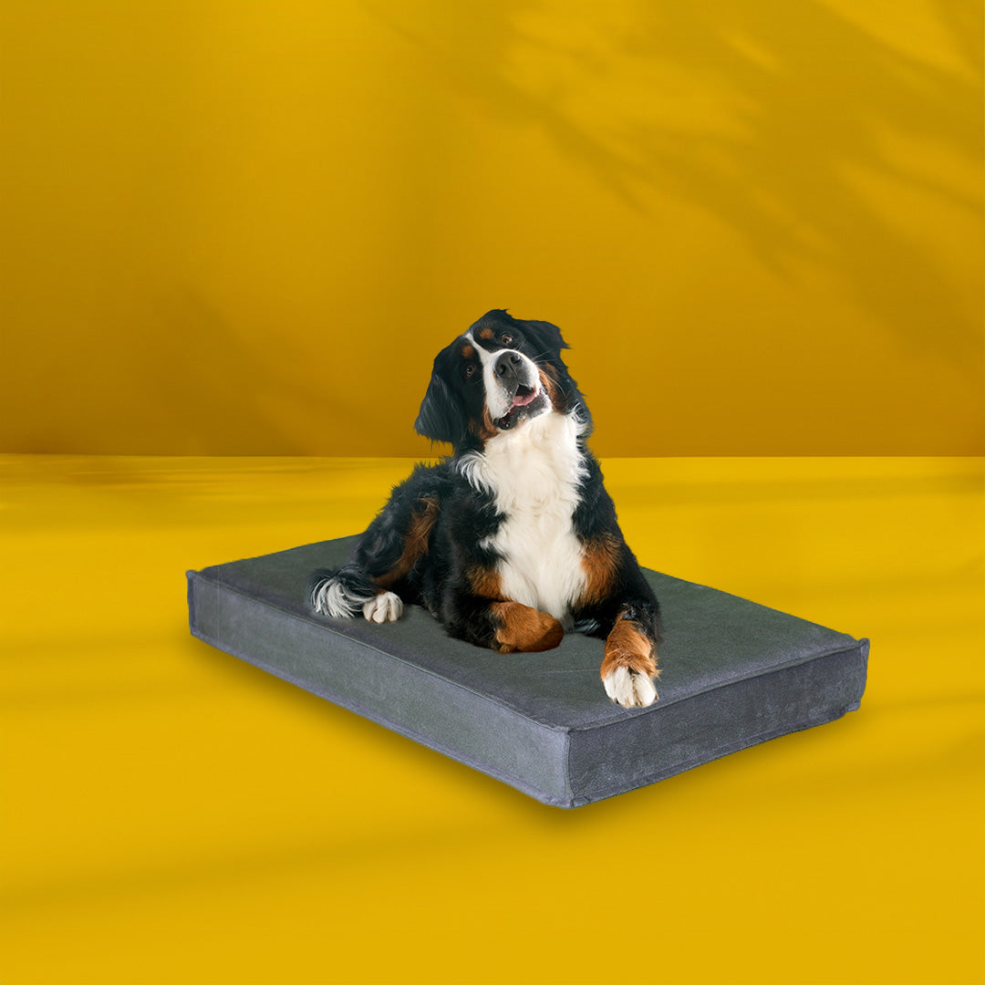 Orthopaedic Pet Bed