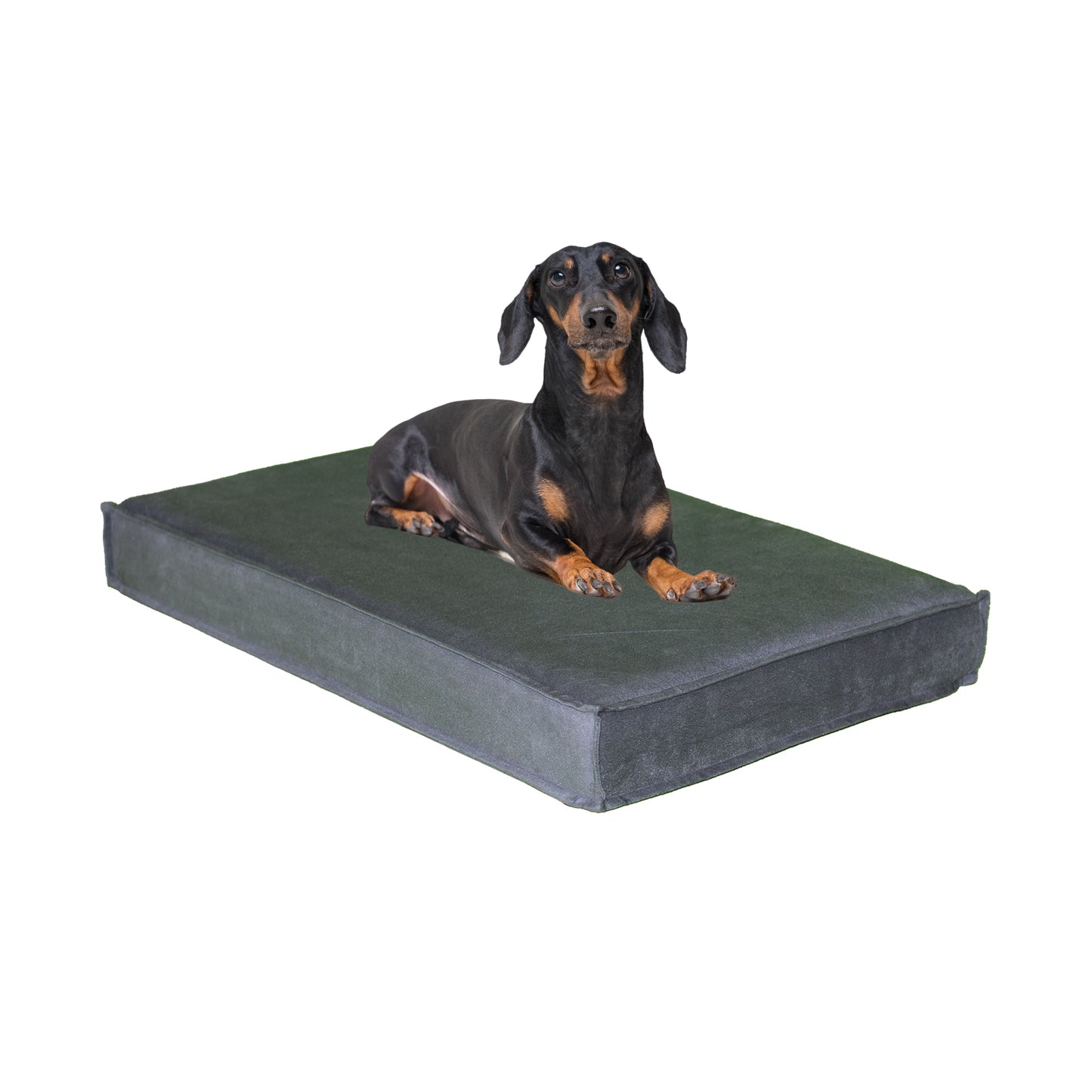 Orthopaedic Pet Bed