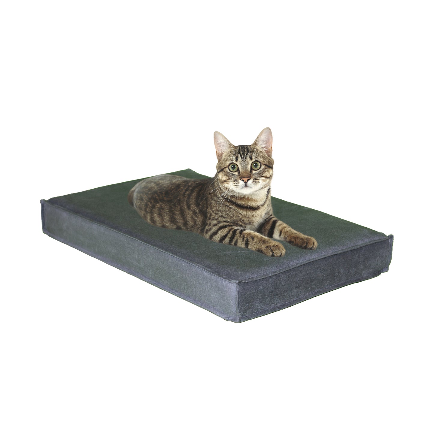 Orthopaedic Pet Bed