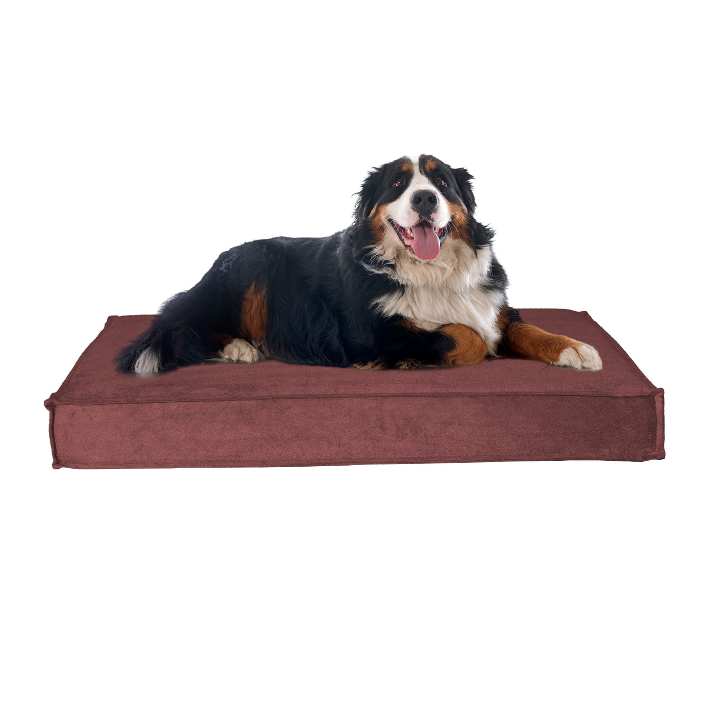 Orthopaedic Pet Bed