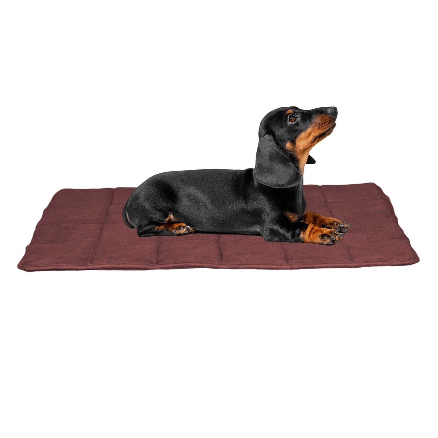 Memory Foam Quilted Rug