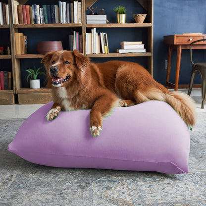 Sensory Bean Bag : Winny