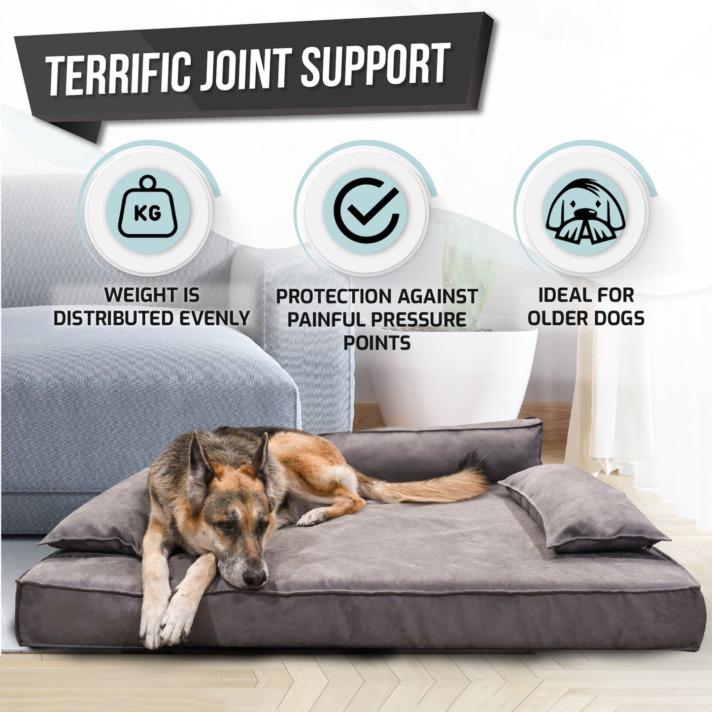 Orthopedic Luxury Dog Sofa Bed