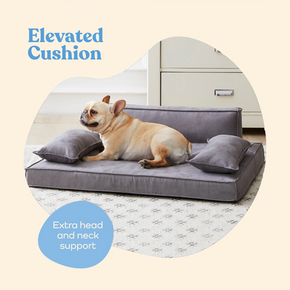 Orthopedic Luxury Dog Sofa Bed