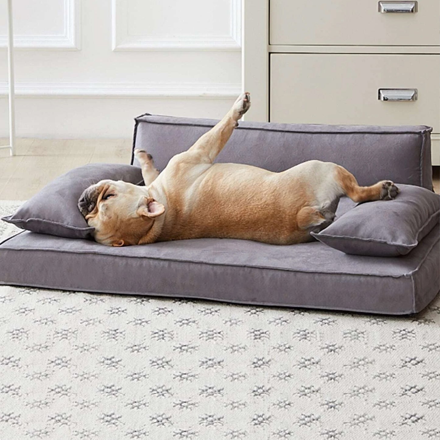 Orthopedic Luxury Dog Sofa Bed