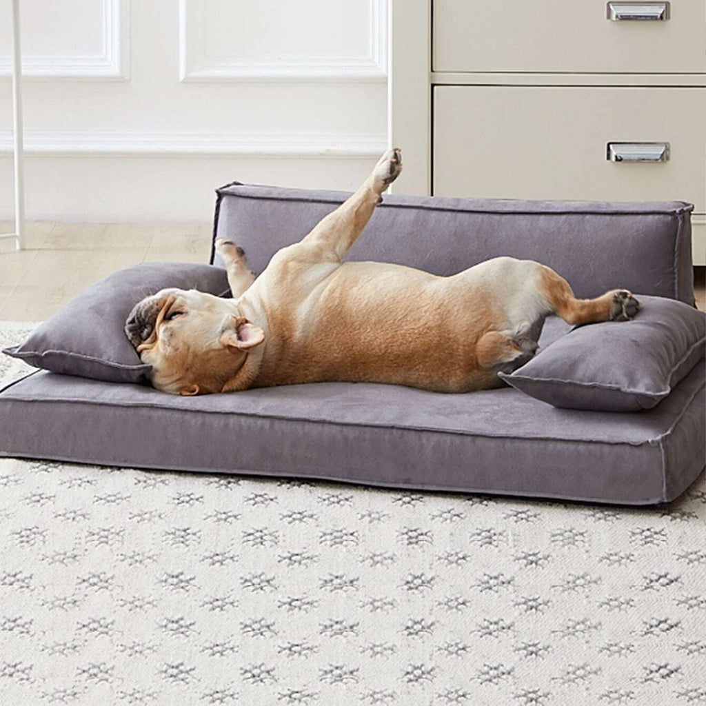 Boutique dog beds hotsell