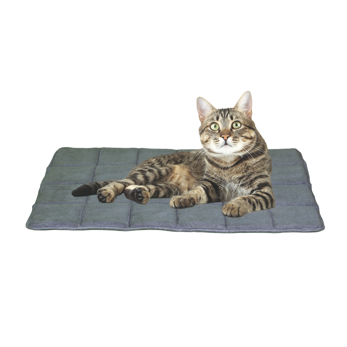 Memory Foam Quilted Rug